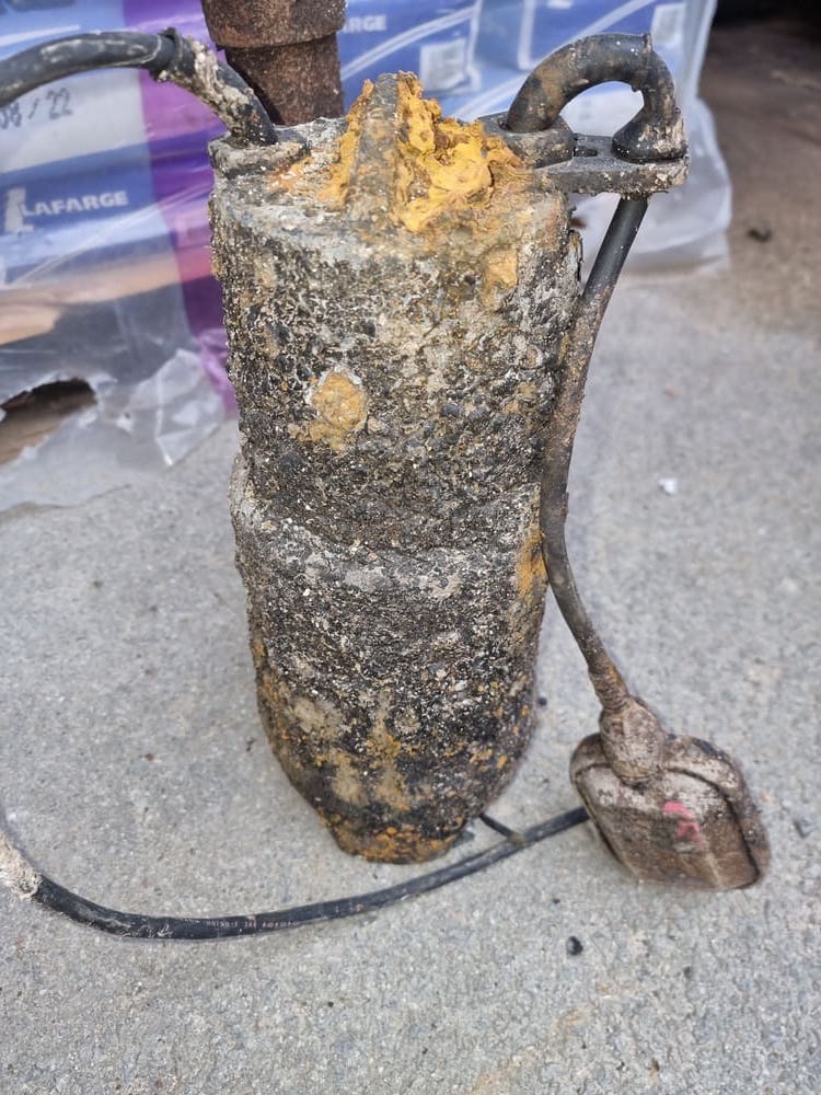 Bosch - Pompe De Vidange - 00145212 | Leroy Merlin